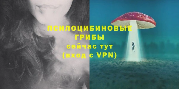 дурь Сураж