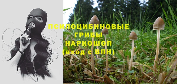 каннабис Сосновый Бор