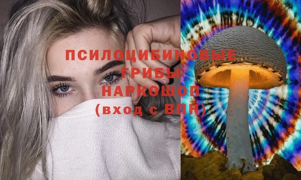 амф Сосновка