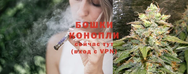 амф Сосновка