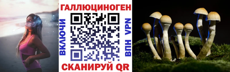 наркотики  ссылка на мегу ссылка  Псилоцибиновые грибы Psilocybine cubensis  Терек 