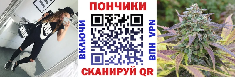 Конопля OG Kush  Терек 